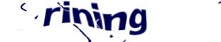 Captcha challenge image